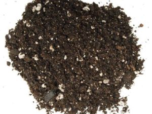 CoCo-Perlite Growing Medium (hyrdophonics) 5l