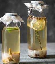 Water Kefir Grains