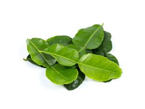 Thai Lime Leaves Fresh