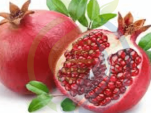 Wonderful Pomegranate Tree