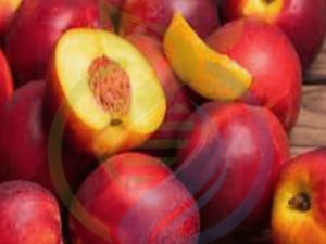 Nectarine Armking Variety