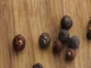 Juniper Berry