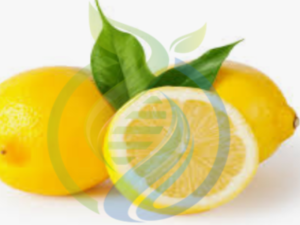 Limoneira Lemon Tree