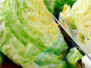 Great Lakes Lettuce Heads