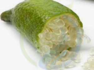Finger Lime Tree