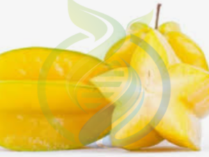 Starfruit Tree