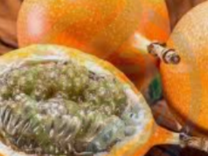 Portuguese Granadilla Vine