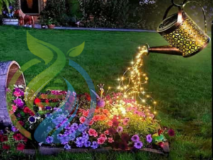 Water Can LIghts Garden Feature