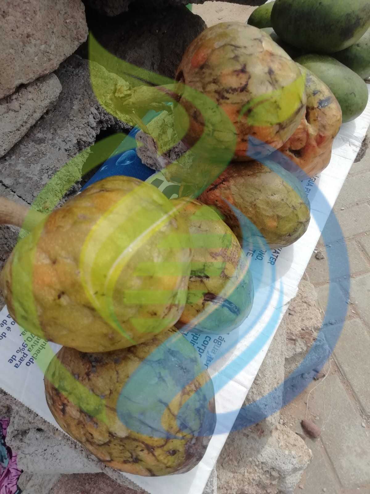 Fresh Custard Apples