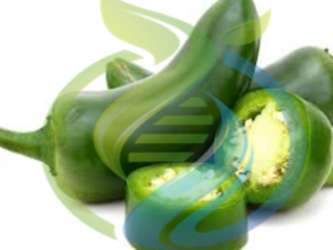 Giant Jalapeno seed