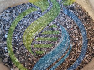 FertileFeed organic Fertilizer