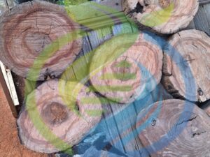 Wooden steppingstones