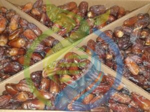 Madjool Dates Fresh