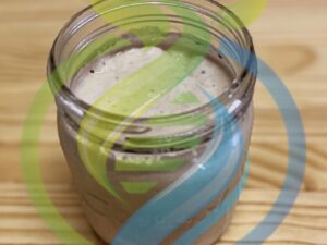 Sourdough Starter Kit