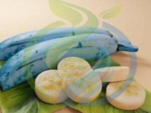 Blue Java Banana Sucker