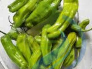 Shishito pepper seeds