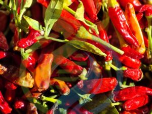 Birds Eye Chilli 500g