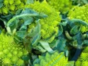 Romanesco Cauliflower seed