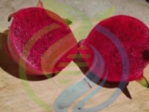 Red Dragonfruit Seed