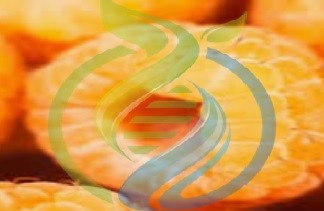 Golden Raspberry cutting