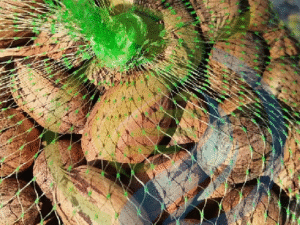 Pecan nuts in shell 1kg