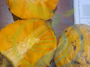 Wild Custard Apple fruit fresh