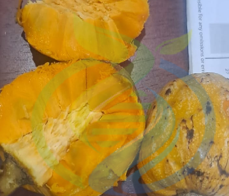 Wild Custard Apple fruit fresh