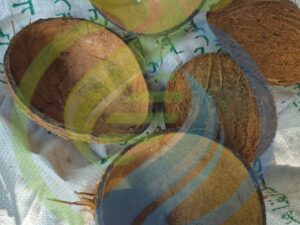Coconut Shells