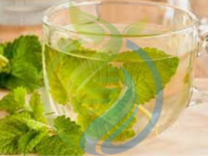 Lemon Balm Seeds