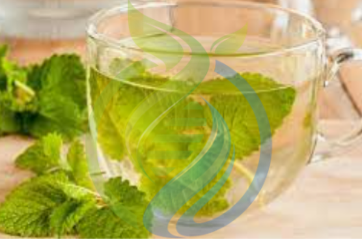 Lemon Balm Seeds