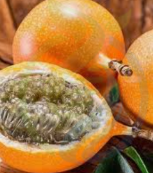 Guatemala Granadilla Cutting